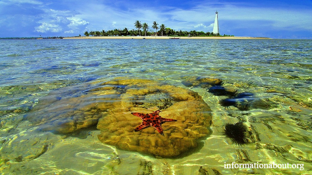 Rekomendasi Tempat Wisata Alam Di Kalimantan